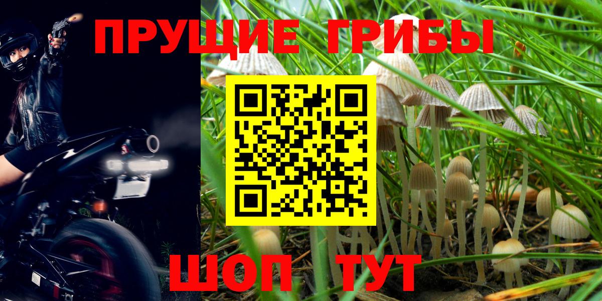Галлюциногенные грибы мухоморы Миасс